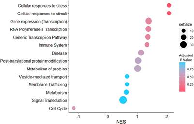 Extracellular vesicles as mediators of stress response in embryo-maternal communication